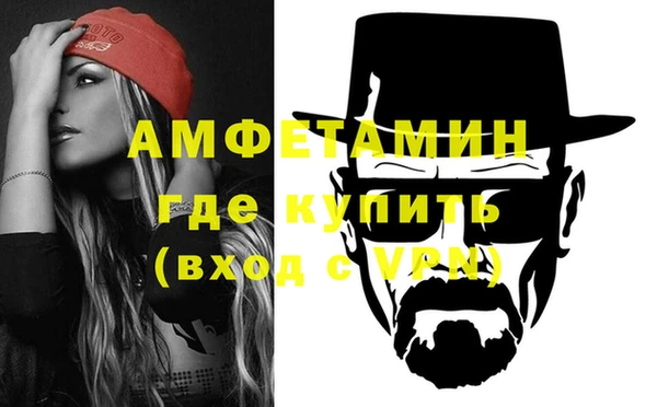 крисы Горняк