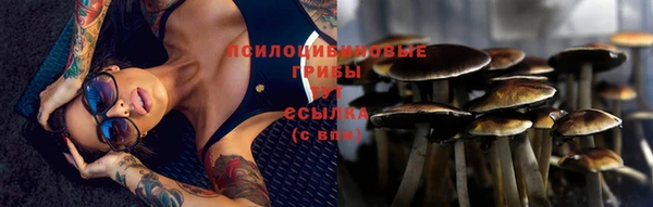 крисы Горняк