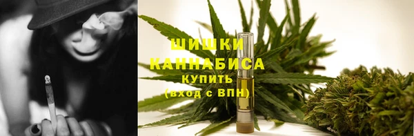 герыч Мегион