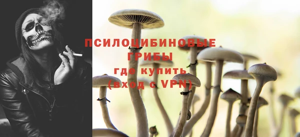 крисы Горняк