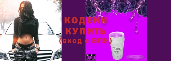 крисы Горняк