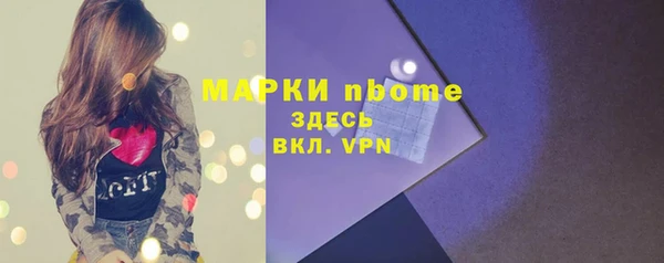 крисы Горняк