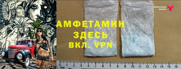 крисы Горняк