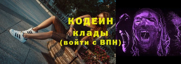 крисы Горняк