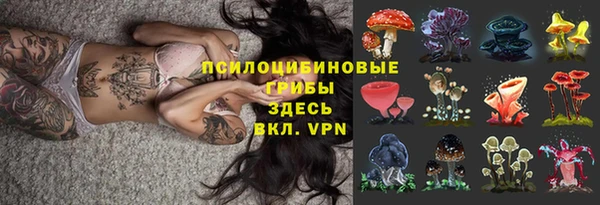 соль курить ск Горно-Алтайск