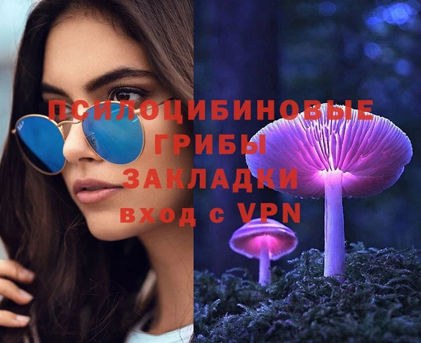 крисы Горняк