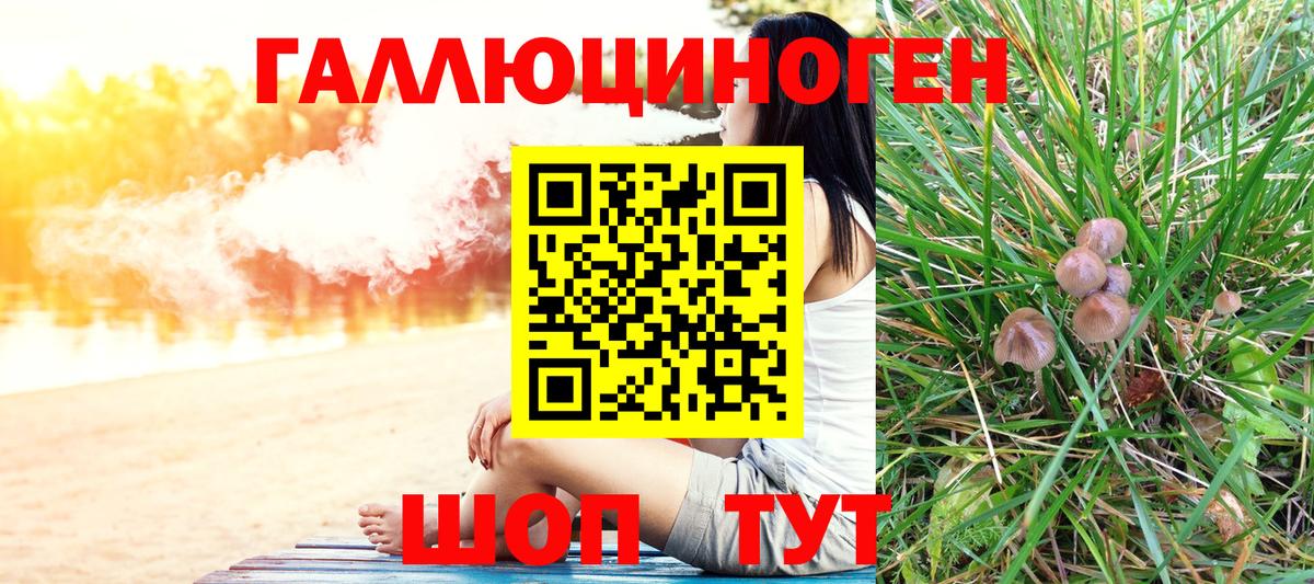 купить наркотик  Маркс  Галлюциногенные грибы Cubensis 